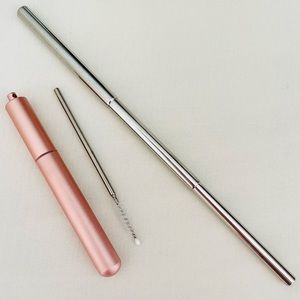 NEW Stainless Steel Travel Straw + Cleaning Brush + Travel Case